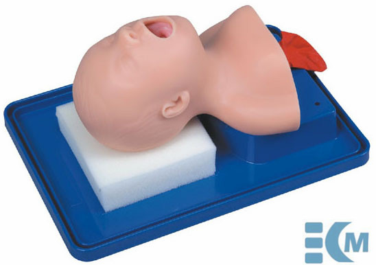 Newborn Baby Trachea Intubation Model