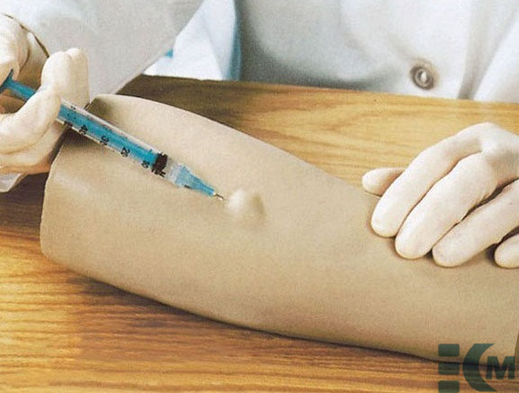 Arm Intradermal Injection Model
