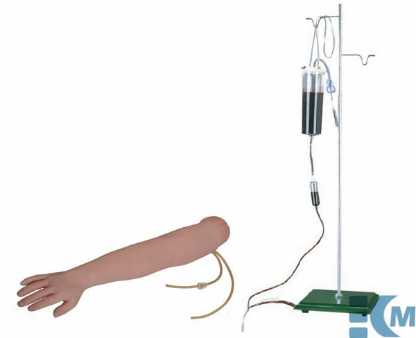 Arm Venipuncture & Intramuscular Injection Training Model