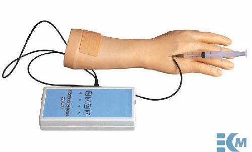 Electronic IV Training Hand Model