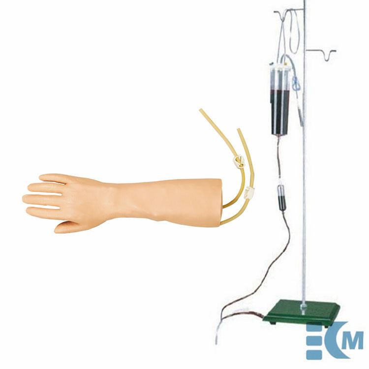 IV Training Hand Model