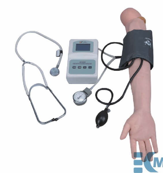 Blood Pressure Training Arm Model