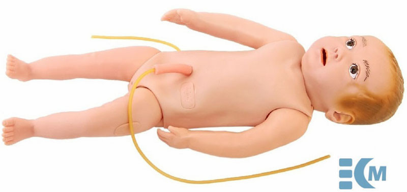 Infant Full Body Venipuncture Model