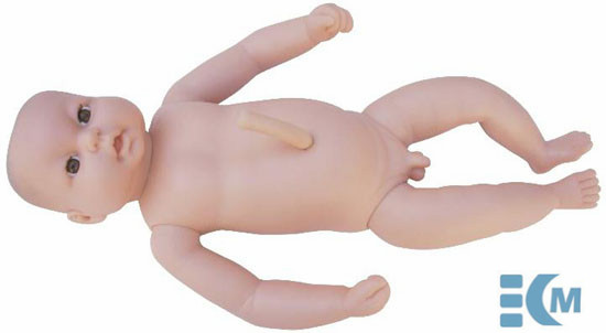 Newborn infant with umbilical cord model