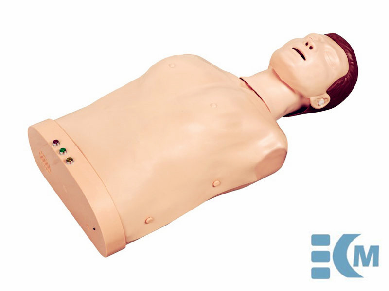 Half body CPR training manikin